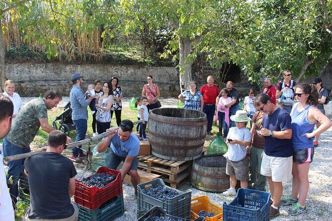 Pompeii Wine Tasting Tour from Positano - Bosco de Medici Winery: four wines, plus lunch with a view