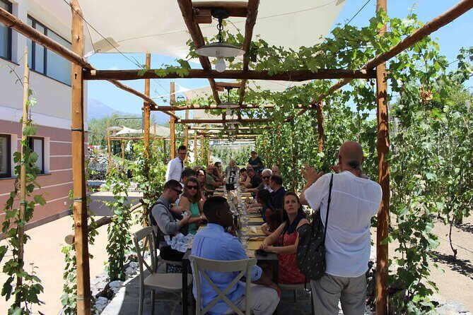 Pompeii Wine Tasting Tour from Positano - The people factor: drivers and on-the-ground communication