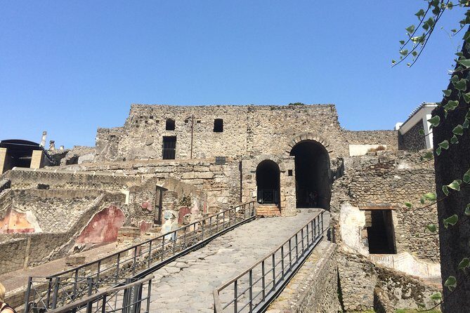 Pompeii-Wine tasting tour from Sorrento, licensed guide included - Who should book this Pompeii wine tasting tour from Sorrento?