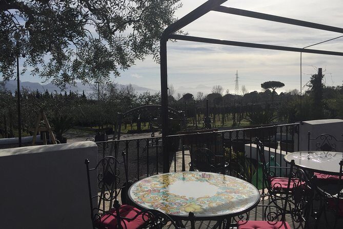 Pompeii-Wine tasting tour from Sorrento, licensed guide included - FAQ