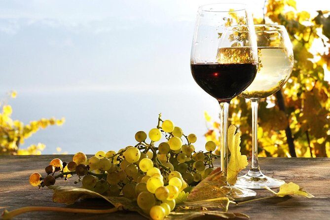 Pompeii & Wine Tour from Sorrento (tickets & lunch not included) - Private pickup and the ride from Sorrento