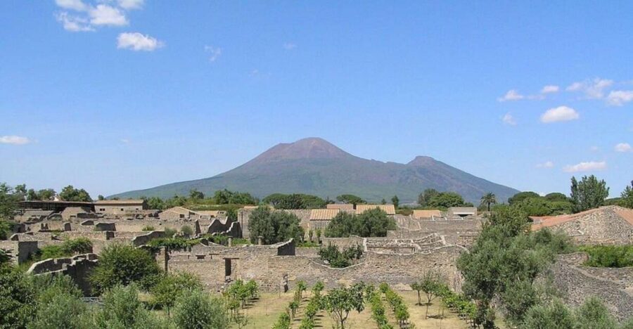 Pompeii with Wine Tasting Private Tour - Key Reasons This Tour Works So Well