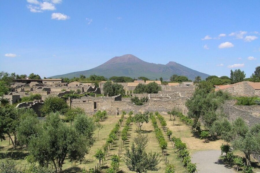 Pompeii with Wine Tasting Private Tour - The Wine and Food Part: Why It’s More Than an Add-On