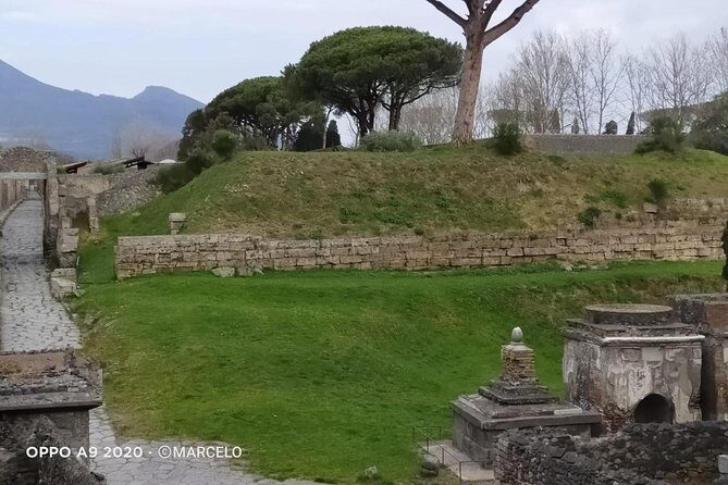 Private Archaeologist service to explore Pompeii's secrets any time ticket incl. - Casa del Poeta Tragico: CAVE CANEM and myth paintings