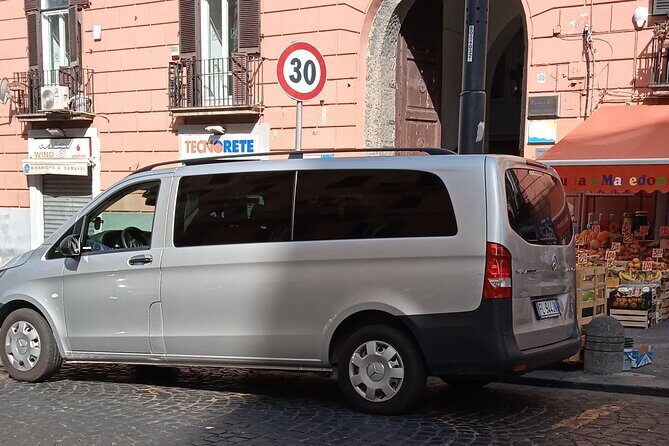 Private day tour: Pompei and Herculenium. - Drivers, optional guides, and the difference between chauffeured and guided