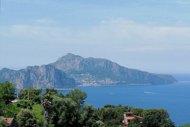 Private day tour: Pompei,Vesuvius and Herculaneum. - Mount Vesuvius National Park: Views Worth the Trip