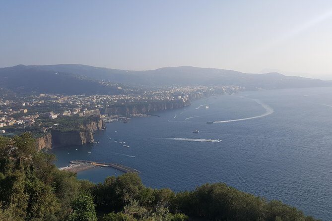 Private day tour to Pompei ,winery, Sorrento from Napoli/Salerno/Amalfi/Positano - The optional 2-hour private guide inside Pompeii (and who should add it)