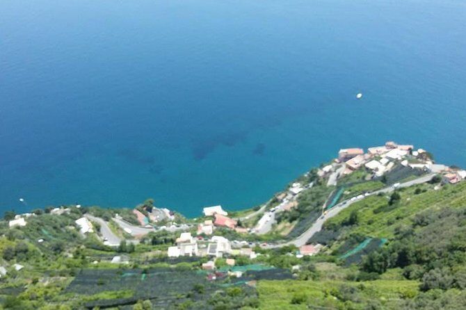 Private Exclusive VIP Tour of Positano, Pompeii & Mount Vesuvius - Pompeii with an art historian guide: fast orientation at a huge site