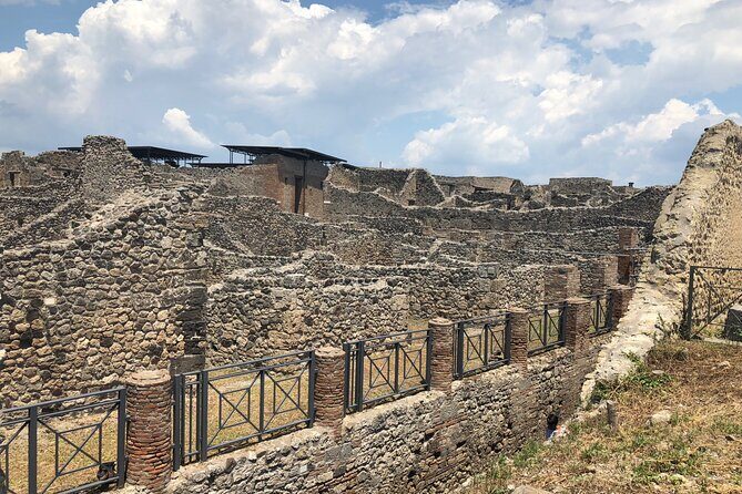 Private Full Day Tour Ruins of Pompei and Wine Tasting Experience - Price and value for up to 2 people