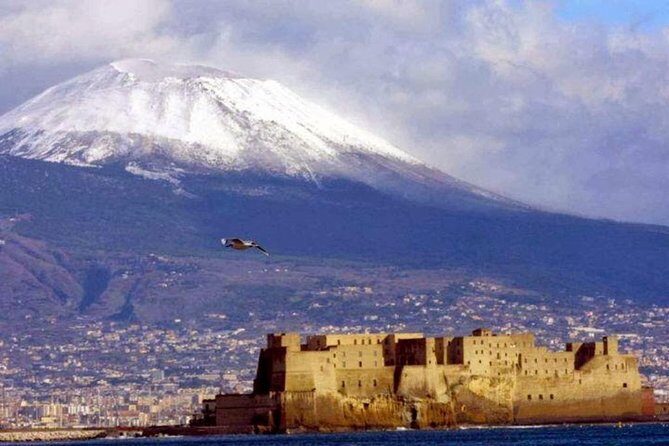 Private Full-Day Tour to Pompeii and Mt. Vesuvius with Winery Visit - Vesuvius National Park: ride up, then earn the crater views