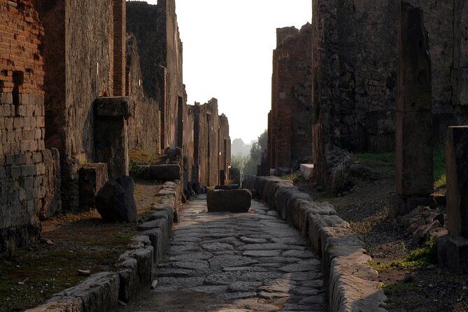 Private Guided Tour in Pompeii - Naples Pickup Works Because It Starts Where You Already Are