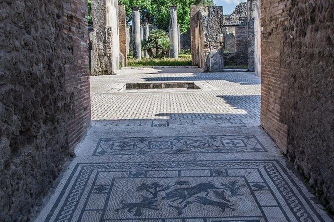 Private Guided Tour of Pompeii. Sunset Tour - The guide quality is the real upgrade