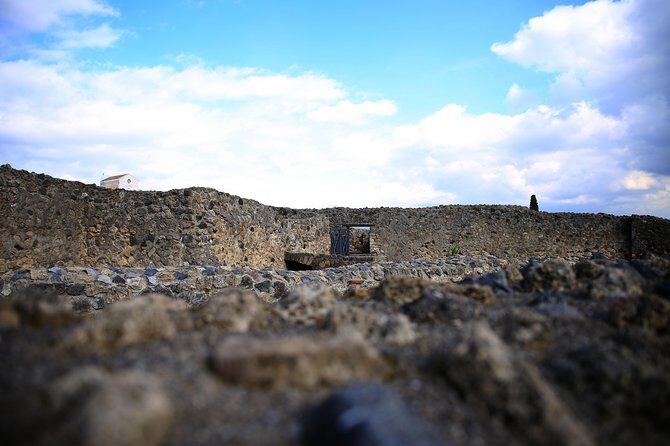 Private Half-Day Tour of The Pompeii Ruins Highlights and Mann - Naples Museum Time: Frescos You’ll Actually Understand