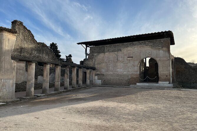 Private Half Day Tour to the Ruins of Pompeii - Price and value: $220.35 per person plus what you add