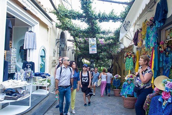 Private Pompeii & Amalfi Coast Shore Excursion from Naples Port - Price and value: $720.95 per person makes sense for a private driver day