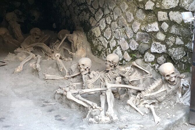 Private Pompeii and Herculaneum with Wine Tasting - Full Tickets - Cantina del Vesuvio: lunch and wine with a Vesuvius backdrop
