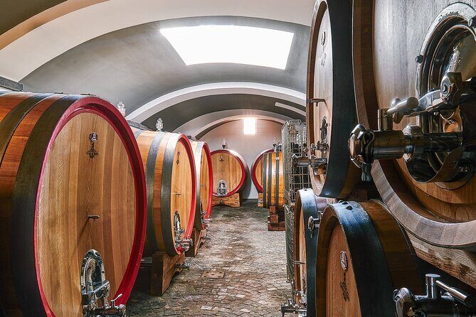 Private Pompeii, Herculaneum and Winery Tour from Naples - Why This Pompeii and Herculaneum Tour Beats DIY