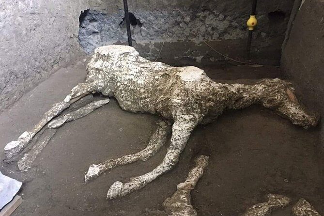 Private Pompeii Tour With Guide and Transfer Included - How the Stops Add Up: A City You Can Actually Understand