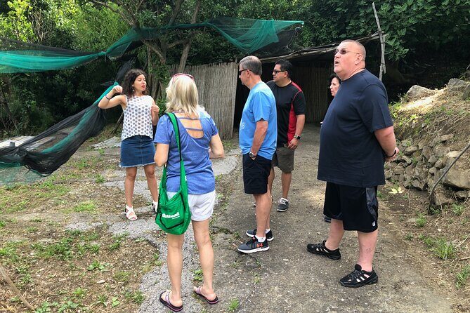 Private Pompeii Tour with lunch and Olive Oil Factory Experience - Who should book this tour