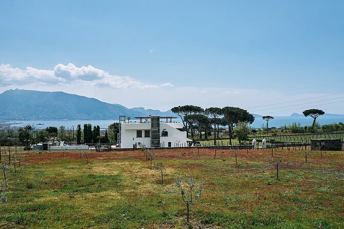 Private Pompeii Tour with Wine Tasting Experience - Price and Value at $594.83 per Person: What You’re Really Buying