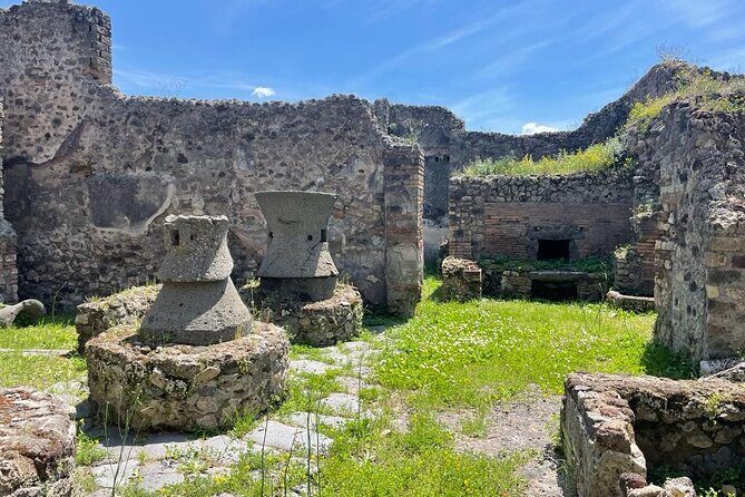 Private Skip The Line Archeo Tour Of Pompeii - Forum and Basilica: Where Power and Daily Business Met