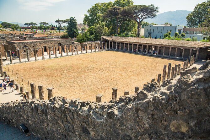 Private Skip-the-Line Pompeii & Mt. Vesuvius Tour from Positano - Price and value: is $750.91 per person fair?