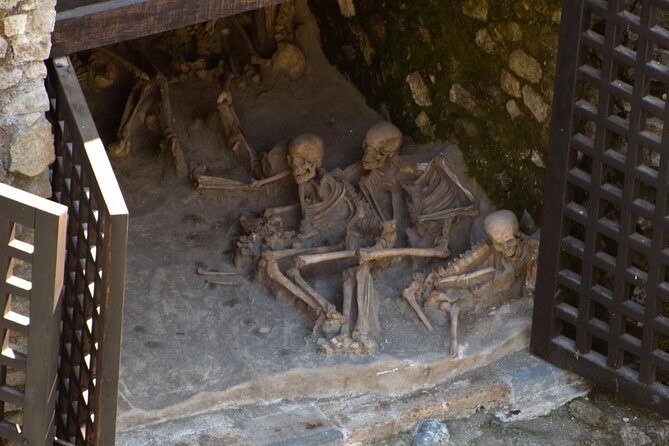 Private Tour: Day Trip Excursion to Herculaneum, Positano and Sorrento - Key Points Before You Go