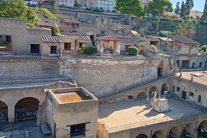 Private Tour in Herculaneum with an authorized guide - Key things I’d zero in on