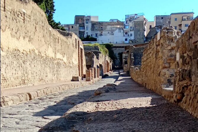 Private Tour in Herculaneum with an authorized guide - Roberta Avilia: the guide who turns ruins into a story