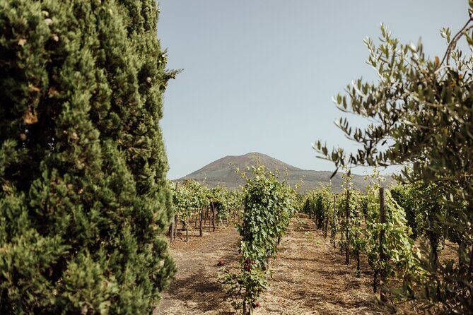 Private Tour in Pompeii and Vesuvius - Weather, Timing, and Comfort Tips for a 6-Hour Pompeii + Vesuvius Day
