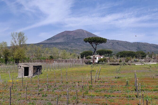 Private Tour Pompeii and Herculaneum - Pompeii and Herculaneum in One Long Day