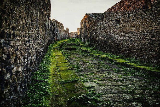 Private Tour Pompeii and Sorrento from Naples - Tickets and Tips: The Costs That Actually Matter