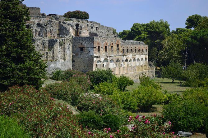 Private Tour: Pompeii Half-Day Trip from Naples - Thermal baths and the Lupanare: Roman leisure with context