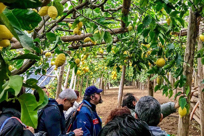 Private Tour: The Path of the Lemons - Why the Path of the Lemons is more than a photo walk