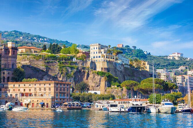 Private Tour to Pompei Sorrento and Positano with English speaking Driver/Guide - How the private day works from Naples (pickup to drop-off)