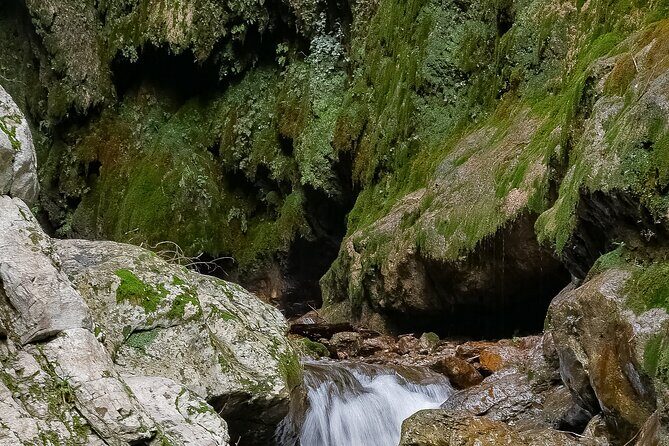 Private Tour Walking in Ferriere Valley Nature Reserve Amalfi - The guides: why Mariano and Peppe consistently get top marks