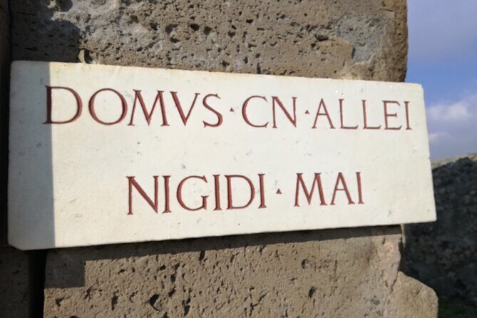 Private Tour with Official Guide through the wonders of Pompeii. - Meeting at Via Villa dei Misteri: what to expect from the start