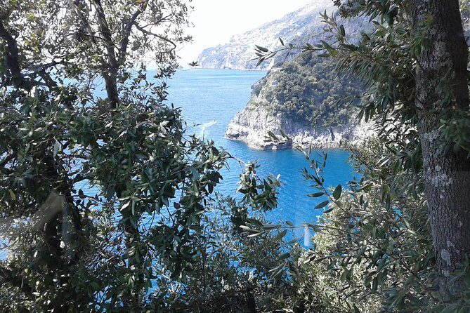 Private Transfer From Naples to Ravello/Sorrento stop at Pompeii - Pompeii Archaeological Park stop: 2 hours, what it’s really for, and what to expect