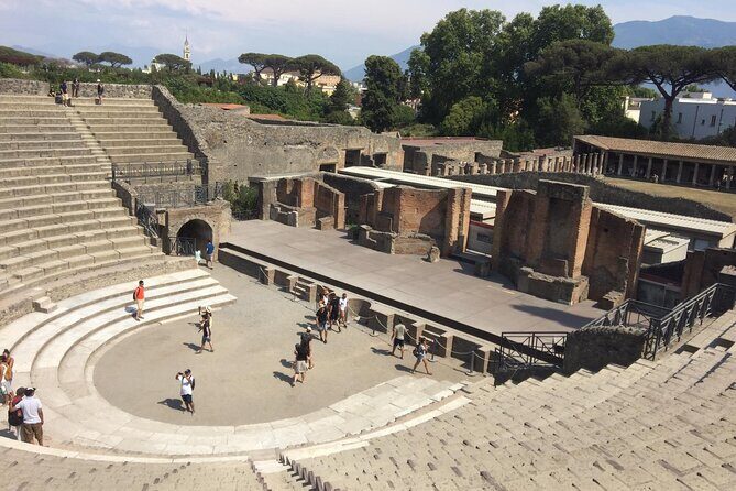 Round-Trip Shuttle Transfer from Naples to Pompeii - Return Ride Reality: Meeting the Shuttle and Avoiding Wait Time