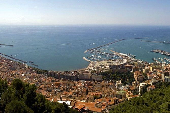 Salerno Shore Excursion: Private Pompeii Tour - Salerno-to-Pompeii on a half-day: why this fits cruise schedules