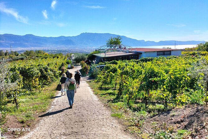 Shore excursion Naples city tour, Pompeii & Winery Cantina del Vesuvio - Who this shore excursion fits best