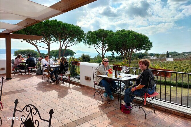 Shore excursion Naples city tour, Pompeii & Winery Cantina del Vesuvio - Should you book this Naples, Pompeii & Cantina del Vesuvio day trip?