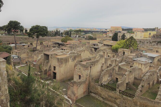 Skip the Line Ancient Herculaneum Walking Tour with Top Rated Guide - La Terrazza di M. Nonio Balbo: view-focused storytelling