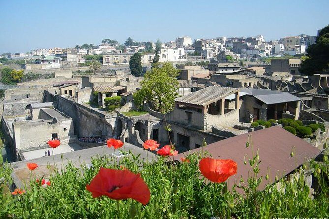 Skip the Line Herculaneum Ruins Ticket - The self-guided route: what each stop is really about
