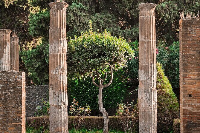Skip the Line Pompeii Guided Tour from Sorrento - Teatro Grande: A Brief Stop That Explains Pompeii’s Social Life