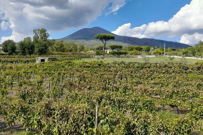 Skip-The-Line Tickets VIP Small Group Tour To Pompei and Vesuvius - Should you book this tour?