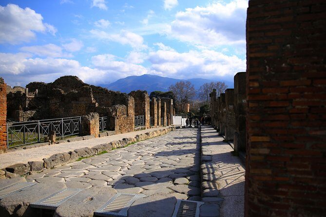 Skip the Line Tour of Pompeii for Kids & Families - Pompeii’s 79 AD story: volcano science plus daily life