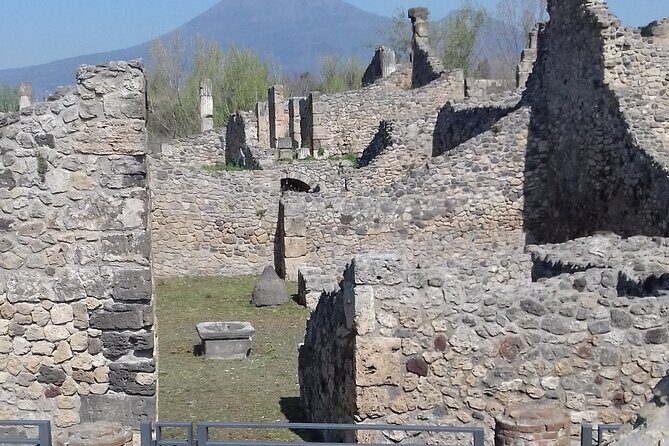Transfer From Naples area to Sorrento with 2hr stop in Pompeii - The ride to Sorrento: practical comfort and local recommendations