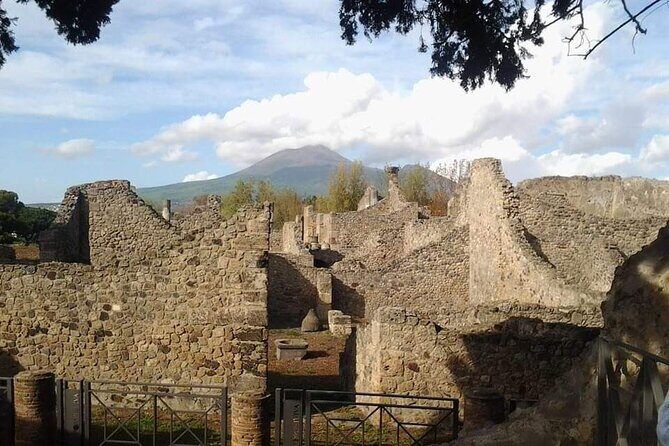 Transfer Naples airport/station to Sorrento with stop in Pompeii - Your driver meet-up in Naples: simple, sign-in, and built for real travel days