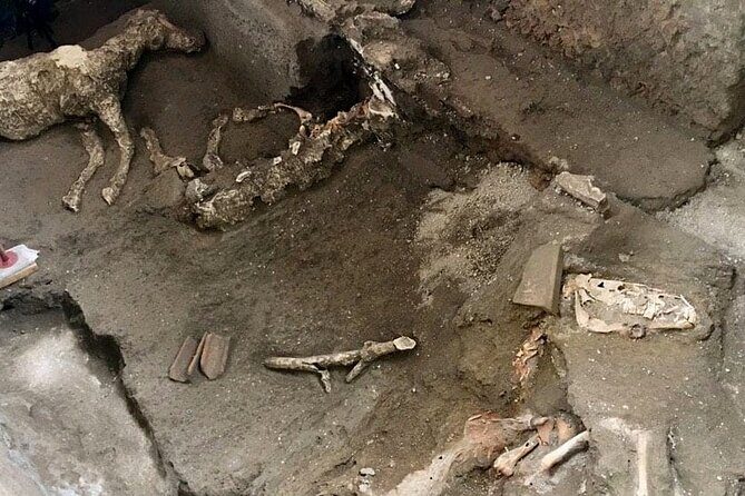 Transfer Naples Sorrento plus Pompeii or vice versa - The Pompeii Stop: What You’re Signing Up For